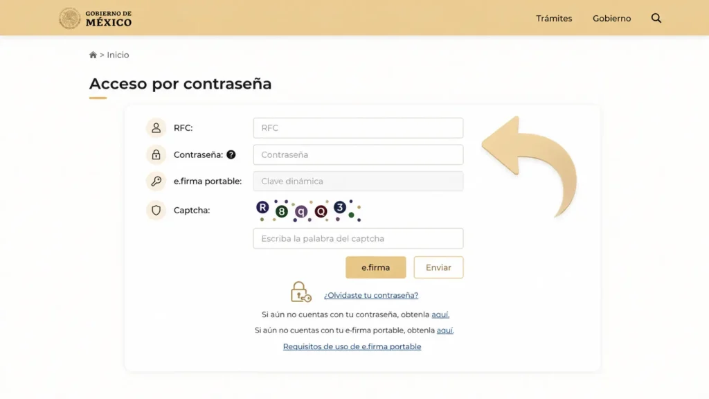 Paso 3: Escribe tu RFC y contraseña